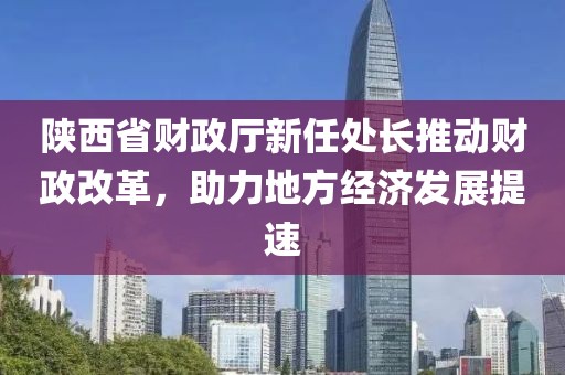 陜西省財政廳新任處長推動財政改革，助力地方經(jīng)濟發(fā)展提速