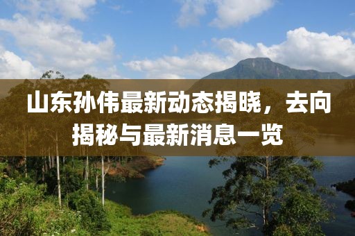山東孫偉最新動(dòng)態(tài)揭曉，去向揭秘與最新消息一覽