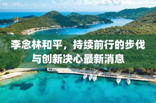 李念林和平，持續(xù)前行的步伐與創(chuàng)新決心最新消息