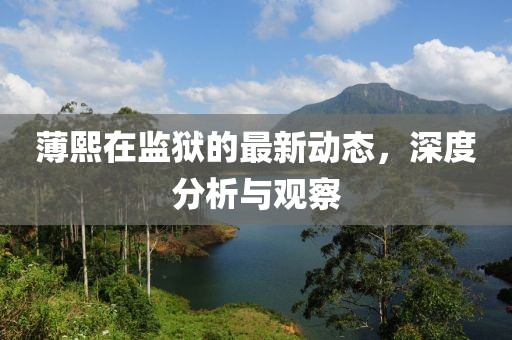 薄熙在監(jiān)獄的最新動(dòng)態(tài)，深度分析與觀察