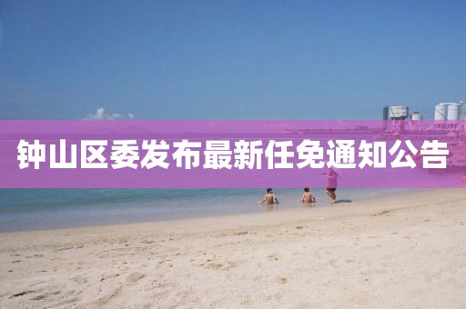 鐘山區(qū)委發(fā)布最新任免通知公告