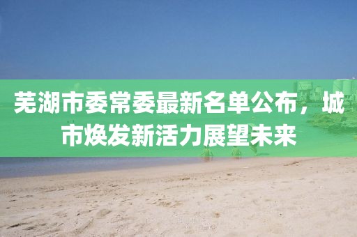 蕪湖市委常委最新名單公布，城市煥發(fā)新活力展望未來