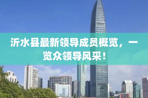 沂水縣最新領(lǐng)導(dǎo)成員概覽，一覽眾領(lǐng)導(dǎo)風(fēng)采！