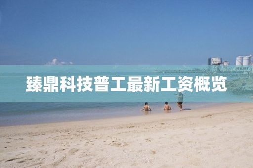 臻鼎科技普工最新工資概覽