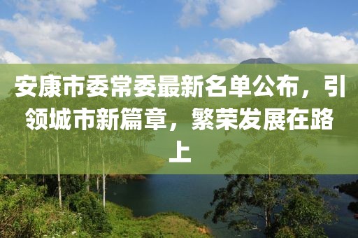 安康市委常委最新名單公布，引領(lǐng)城市新篇章，繁榮發(fā)展在路上