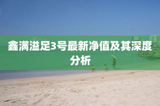 鑫滿溢足3號最新凈值及其深度分析