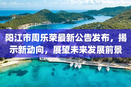 陽(yáng)江市周樂(lè)榮最新公告發(fā)布，揭示新動(dòng)向，展望未來(lái)發(fā)展前景