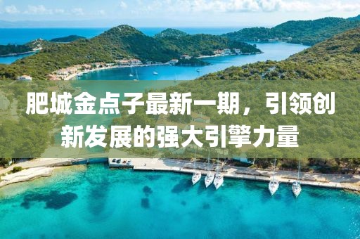 肥城金點子最新一期，引領(lǐng)創(chuàng)新發(fā)展的強大引擎力量