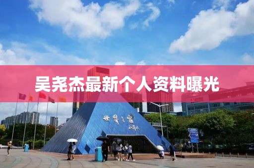 吳堯杰最新個(gè)人資料曝光