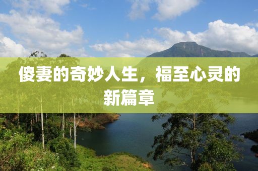 傻妻的奇妙人生，福至心靈的新篇章