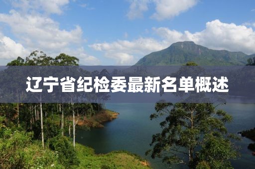 遼寧省紀(jì)檢委最新名單概述
