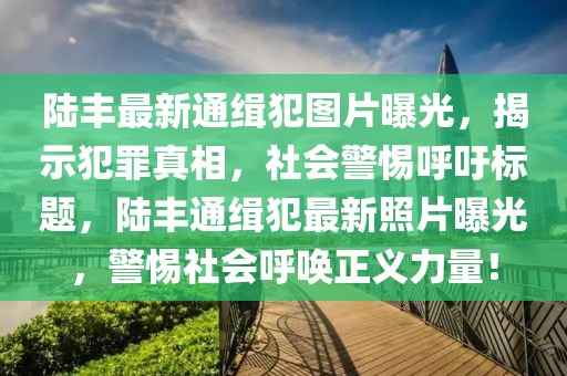 陸豐最新通緝犯圖片曝光，揭示犯罪真相，社會警惕呼吁標題，陸豐通緝犯最新照片曝光，警惕社會呼喚正義力量！