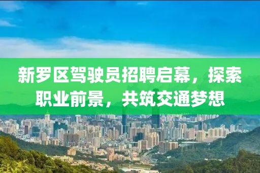 新羅區(qū)駕駛員招聘啟幕，探索職業(yè)前景，共筑交通夢想