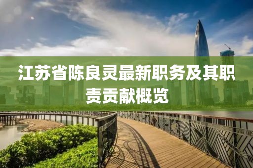 江蘇省陳良靈最新職務(wù)及其職責(zé)貢獻(xiàn)概覽