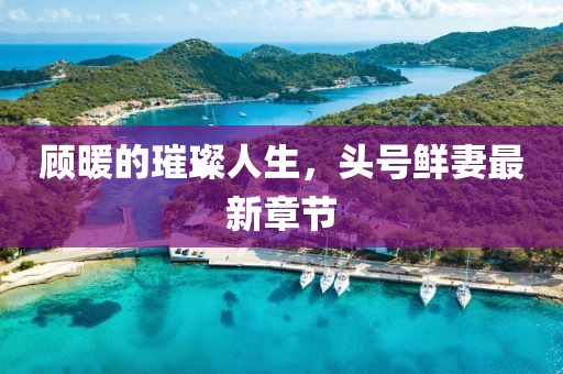 顧暖的璀璨人生，頭號(hào)鮮妻最新章節(jié)