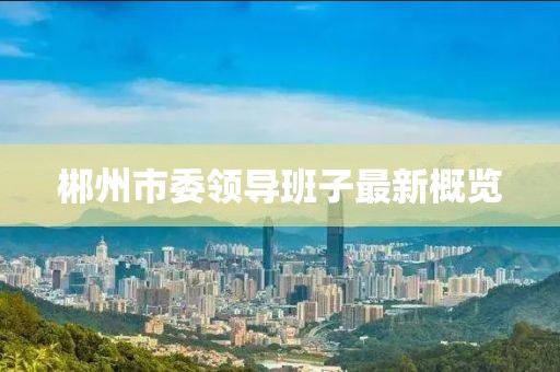 郴州市委領(lǐng)導(dǎo)班子最新概覽