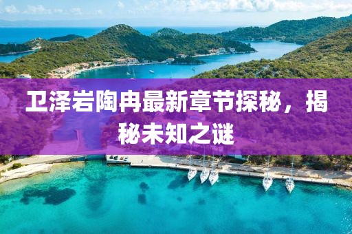 衛(wèi)澤巖陶冉最新章節(jié)探秘，揭秘未知之謎