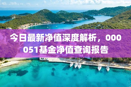 今日最新凈值深度解析，000051基金凈值查詢報告