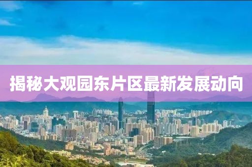 揭秘大觀園東片區(qū)最新發(fā)展動向