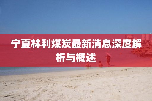 寧夏林利煤炭最新消息深度解析與概述