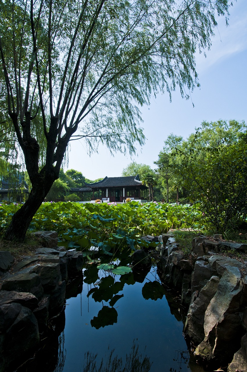 津雄鐵路最新進(jìn)展、影響與展望，揭秘最新動(dòng)態(tài)與未來趨勢
