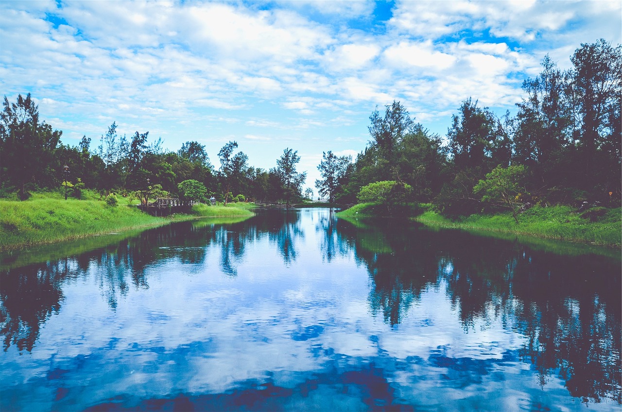 韓國(guó)薩德最新動(dòng)態(tài)，全球關(guān)注下的焦點(diǎn)事件分析視頻揭秘最新消息