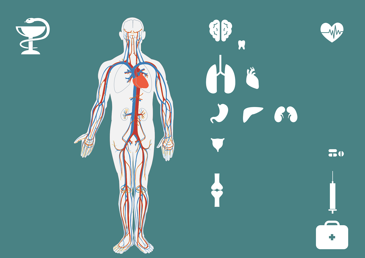急診搶救流程圖優(yōu)化，提升搶救成功率與急救服務(wù)質(zhì)量
