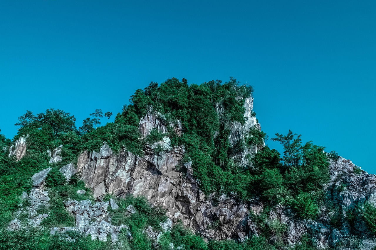 傳藝科技股票最新消息綜述，掌握最新動態(tài)，洞悉股市走向
