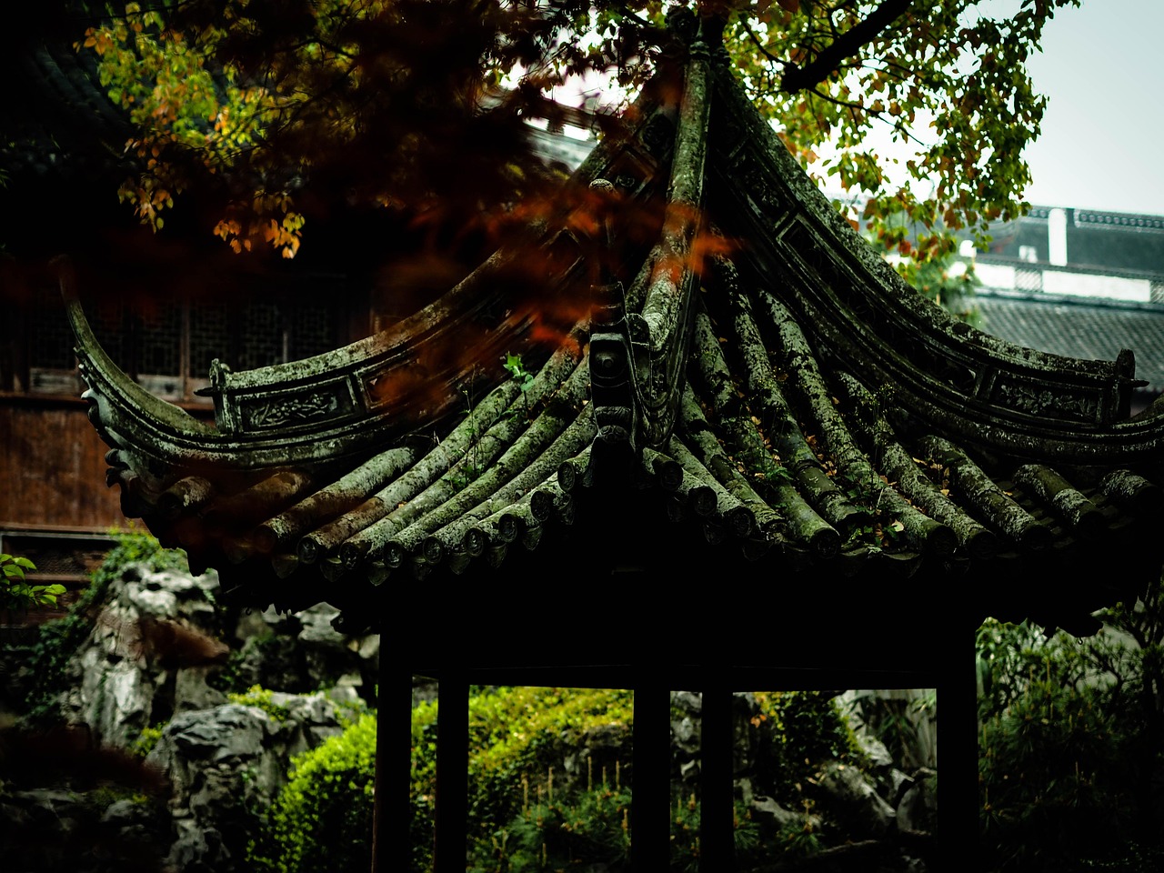 中國女排隊蓄勢待發(fā)，展現(xiàn)新篇章，最新消息與動態(tài)速遞