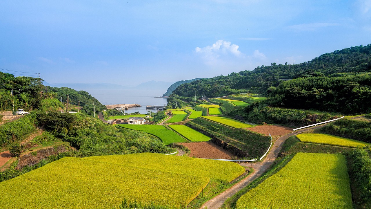 廣西靈山高速建設(shè)進展揭秘，最新消息與未來展望