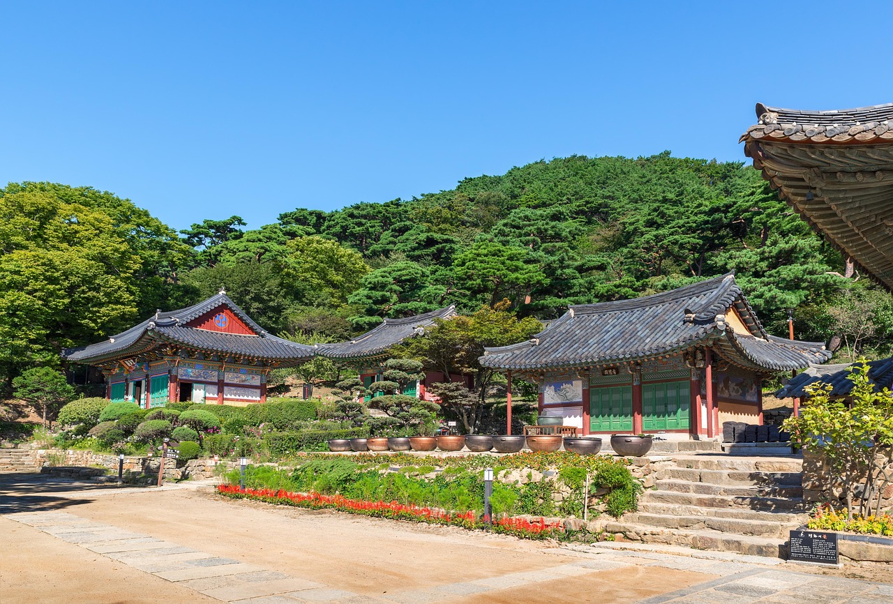 廣饒四季花城，繁榮盛景與未來期待揭秘