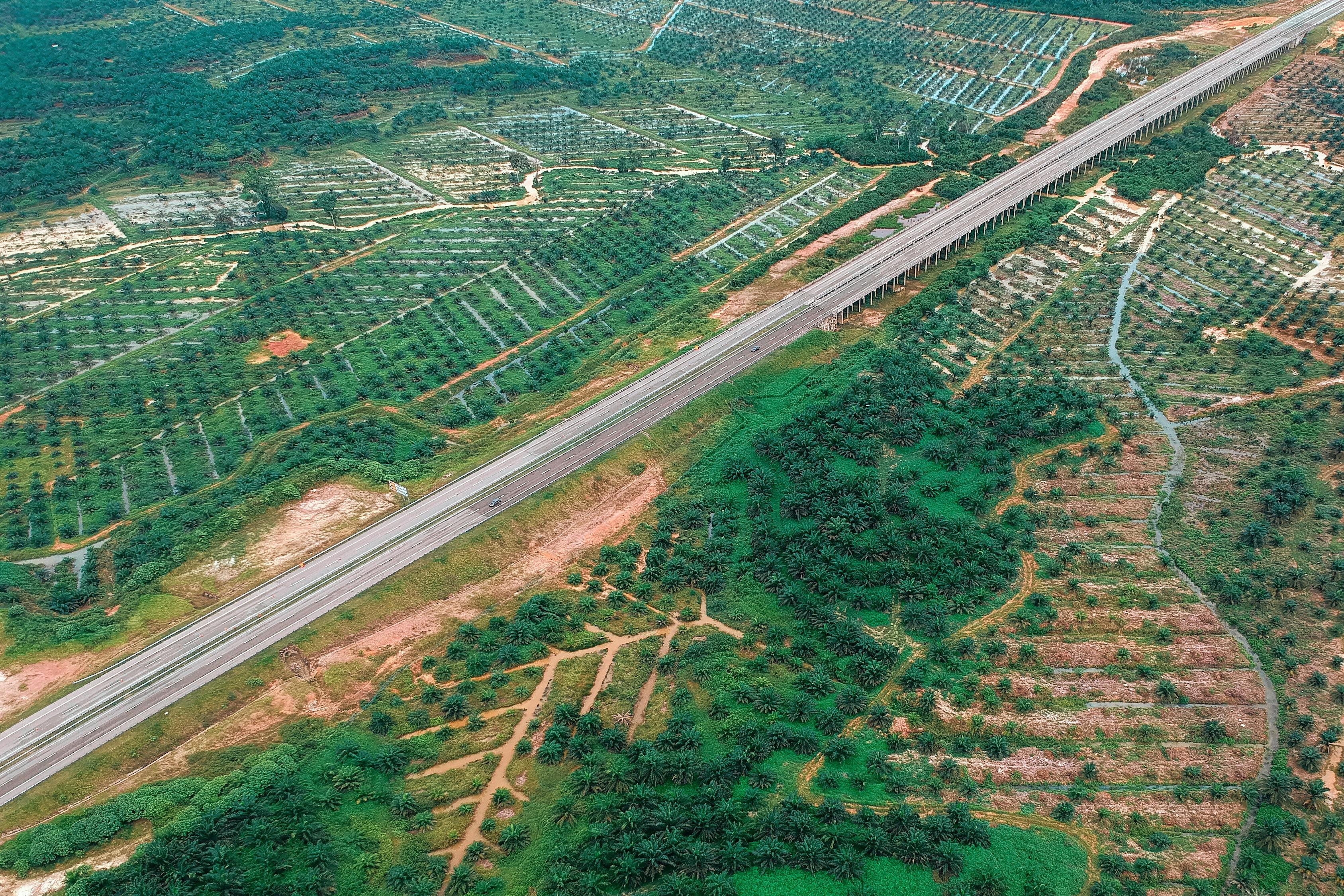 興富高速公路最新進(jìn)展報(bào)告更新，建設(shè)進(jìn)度一覽