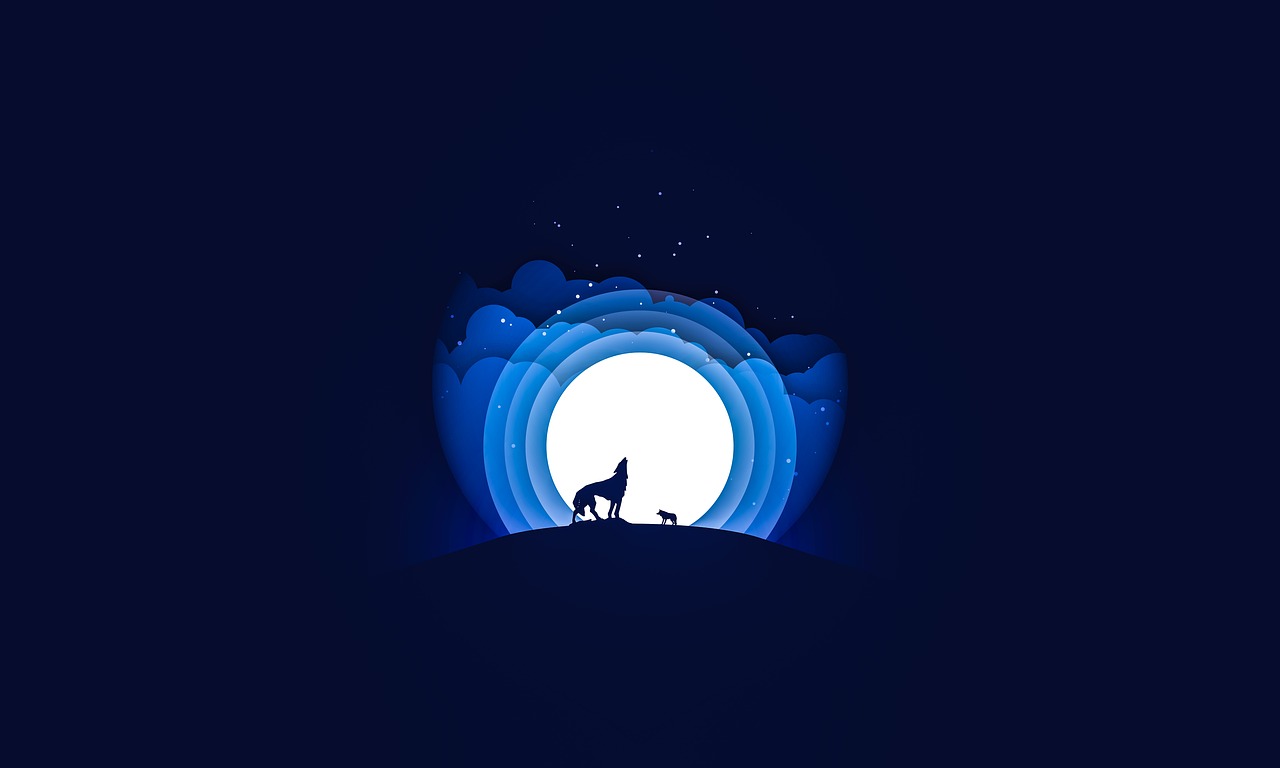 夜狼直播最新版本下載攻略，指南與體驗分享