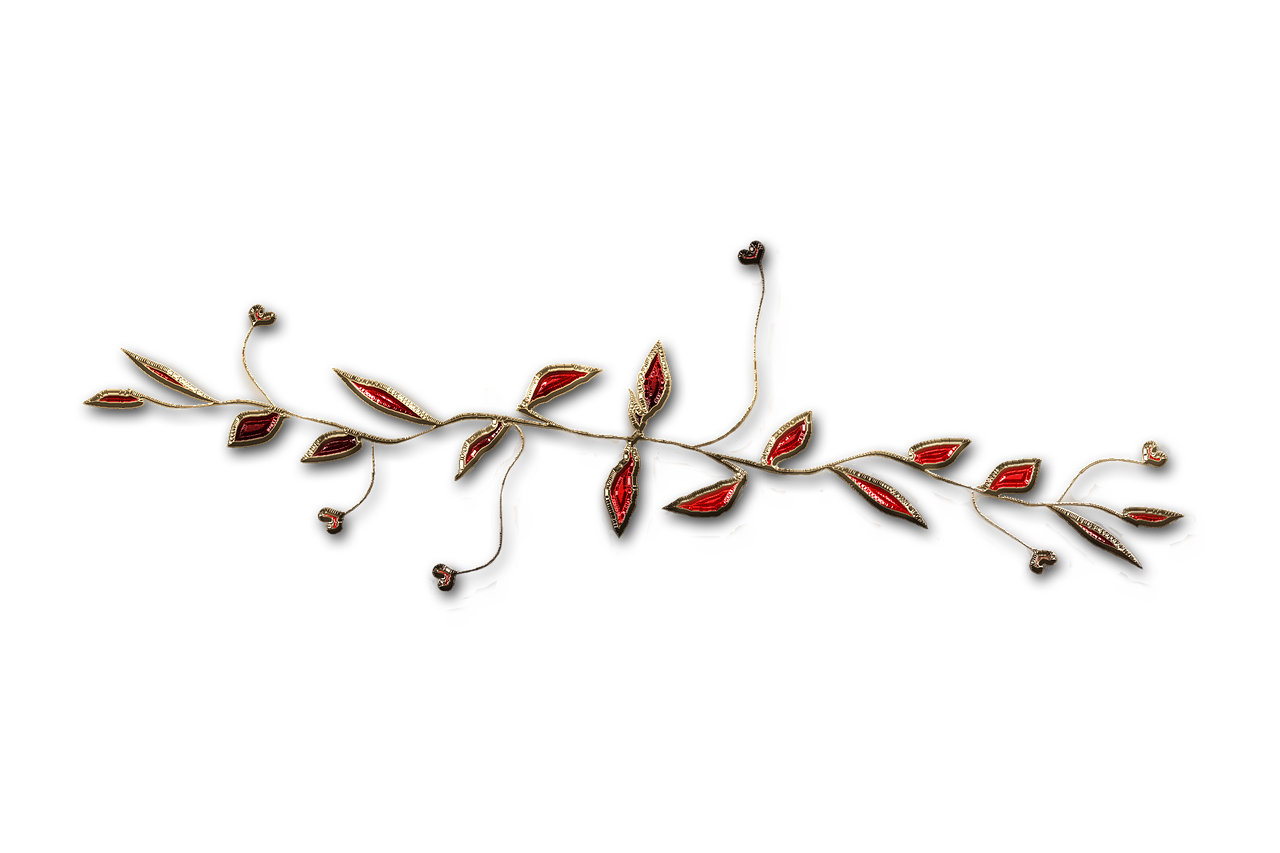 廣西大紅八角產(chǎn)業(yè)蓬勃發(fā)展，前景廣闊，最新消息與動(dòng)態(tài)