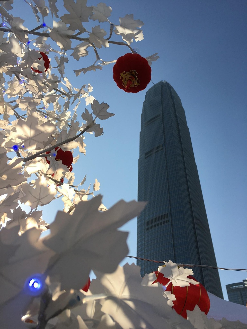漫漫長夜新版本砍樹探索，全新體驗之旅